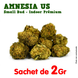 Fleur de CBD - Amnesia US...