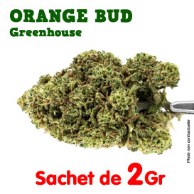 Fleur de CBD - Orange Bud -...