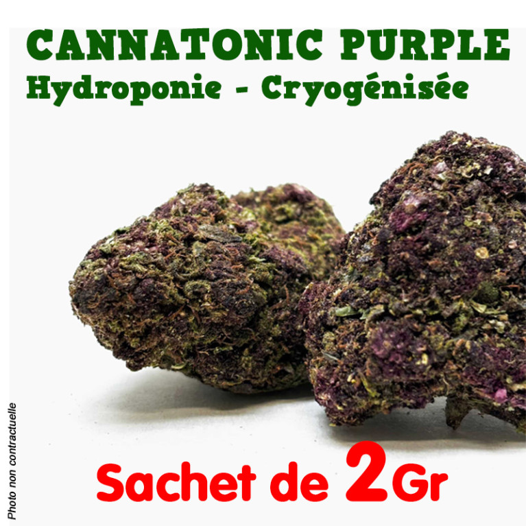 Fleur de CBD - Cannatonic Purple - Indoor Premium + Cryogénisée