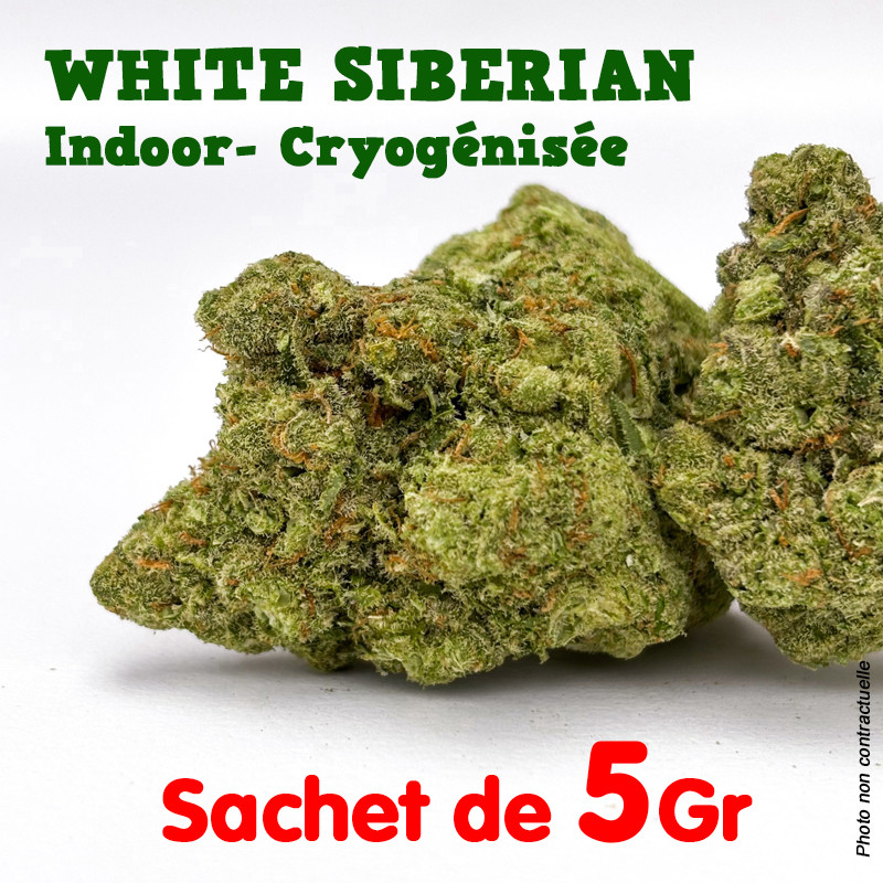 Fleur de CBD - White Siberian - Indoor Cryogénisée